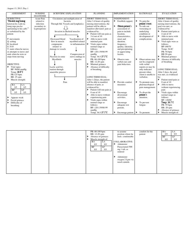 Acute Pain NURSING CARE PLAN Pain Clinical Medicine