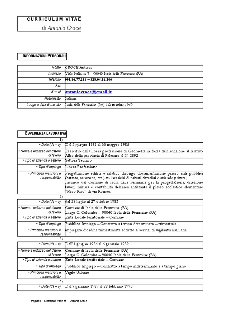 Curriculum vitae sample pdf image