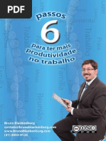 Seis Passos Para Ter Mais Produtividade No Trabalho - Bruno Blankenburg