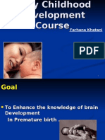 Brain Development