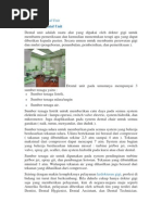 Download Pengertian Dental Unitdocx by Dini Chairani Prima SN183241706 doc pdf