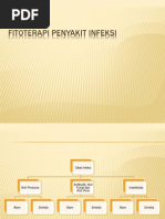 Download PPT FITOTERAPI INFEKSI editpptx by Ursula Herfina Tri Kusumastuti SN183247009 doc pdf