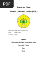 Download Tanaman Obat Rosella Hibiscus sabdariffa Ldocx by Pungky Umi Sadiyah SN183248231 doc pdf