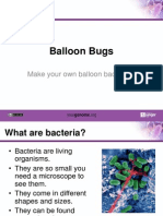 Balloonbug Presentation