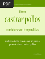 Como Castrar Pollos Tradiciones No Tan Perdidas GranjaOnline