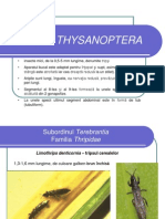 THYSANOPTERA
