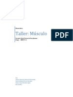 TALLER MÚSCULO