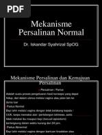 Download mekanisme persalinan normalppt by Amal Bahrum Penas SN183307419 doc pdf