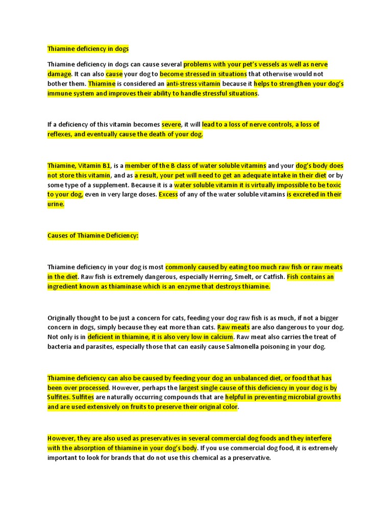 Thiamine Deficiency in Dogs PDF Vitamin Diseases And Disorders
