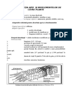 Absorbtia-II.pdfAbsorbtia-II.pdfAbsorbtia-II.pdf