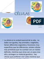 CÉLULAS