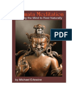 SHAMATA Meditation PDF