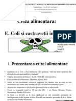 Criza Alimentara Prezentare Andra