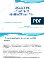 Proiect de Investitii Boromir.ppt