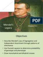 Mendel's Legacy: Chapter 9-1