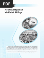 sel.pdf