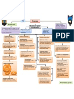 El Cuidado Como Objeto de Estudio de Enfermeria