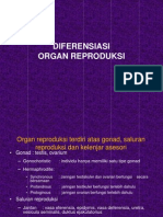 Diferensiasi Organ Reproduksi