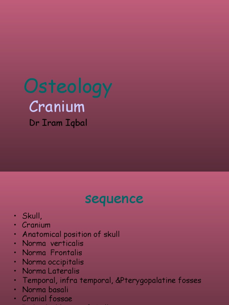 Anatomy of the Skull and Cranium | PDF | Skull | Musculoskeletal System