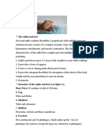 Biomechanics of Ankle and Foot