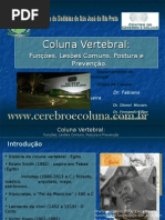 coluna vertebral