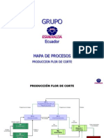 Mapas Procesos 2012-Muestra