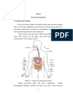 tinjauan pustaka akalasia.doc