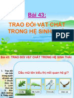 Trao Doi Vat Chat Trong He Sinh Thai