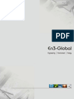 En3 Global Brochure PDF