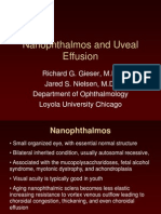 Nanophthalmos