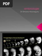 embriologie