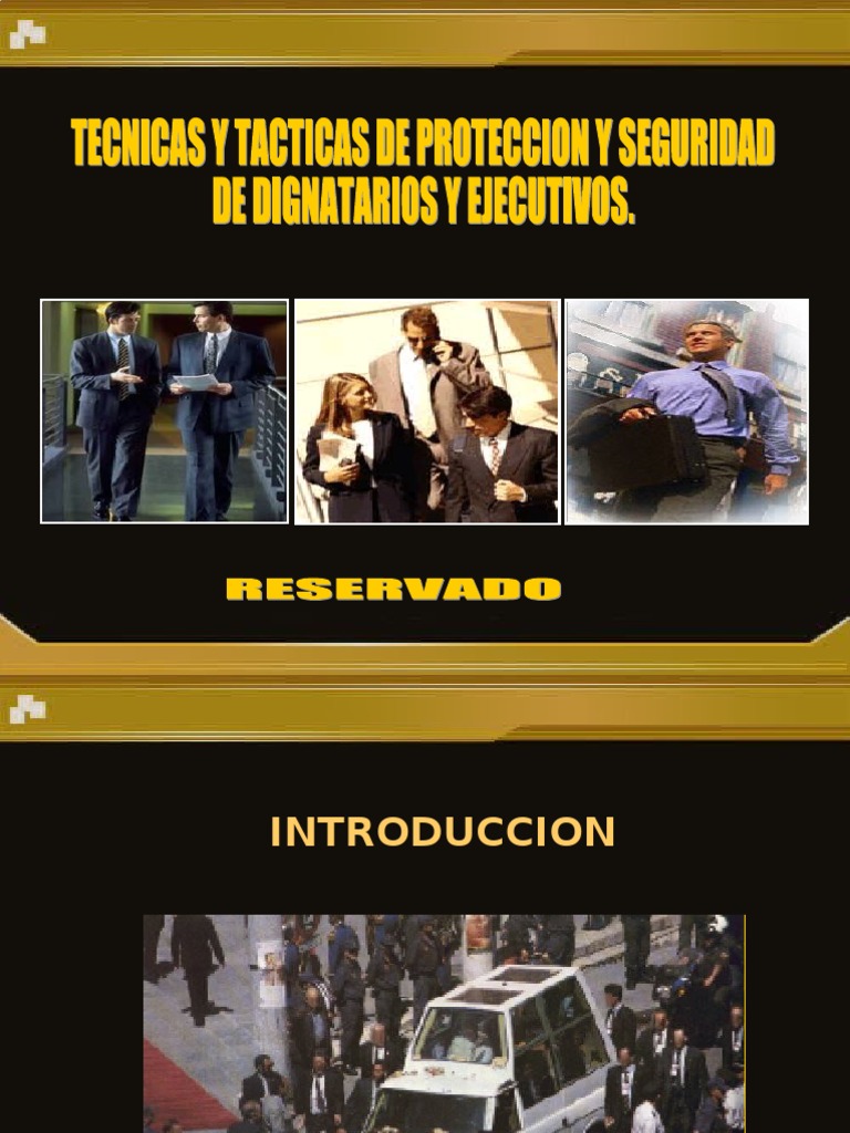 Seguridad y Protección VIP | PDF | Seguridad | Planificación