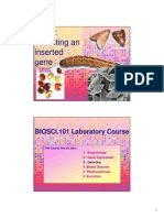 2011  BIOSCI 101 Lab 3 Tutor template.pdf
