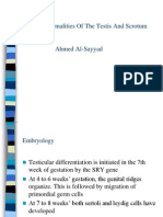 Abnormalities Of The Testis And Scrotum: A Concise Guide