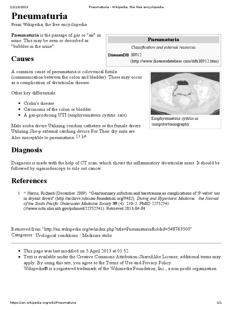 Pneumaturia Wikipedia The Free Encyclopedia Pdf
