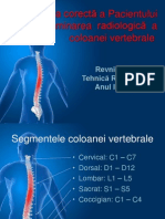 Poziționarea - Corectă - A - Pacientului - Pentru - Examinarea - Rad Iologică - A - Coloanei - Vertebrale PDF