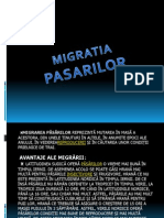 Migratia Pasarilor