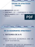 Introducere in Strategia Firmei