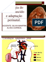 7 - Fisiologia Do RN e Adaptação Perinatal