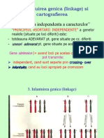 CURS 2 LINKAGE SI ASOCIERE.ppt