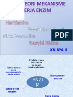 Download Teori-teori Mekanisme Kerja Enzim by Rasyid Ridha SN18363848 doc pdf