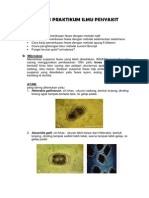 Praktikum IP Helmint PDF