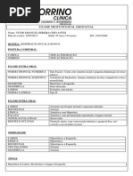 Vitor Emanuel Pereira Cervantes