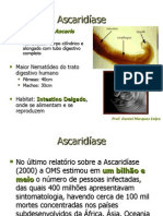 Ascaridíase