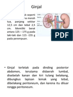 Gambaran Mikroskopis Sistem Urinari