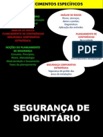 Segurança Dignatários PDF