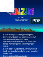 ENZIM DAN KERJA ENZIM