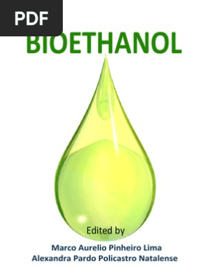 Bio Ethanol I To | PDF | Starch | Biofuel