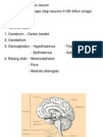 Fungsi dan Struktur Otak