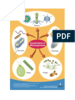 classificationMicro.pdf